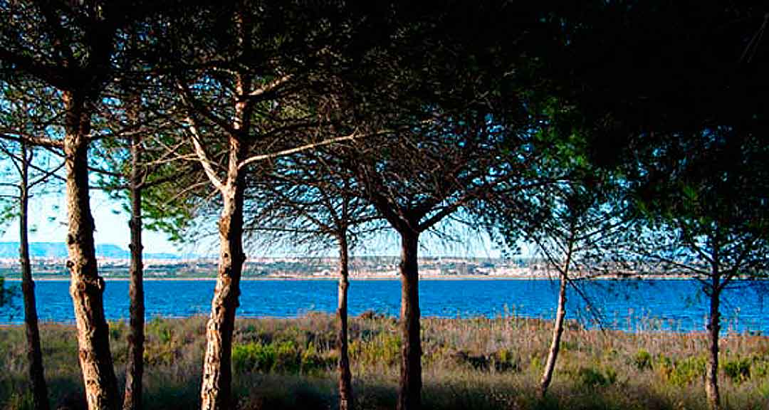 Parque Natural de las Lagunas de La Mata y Torrevieja